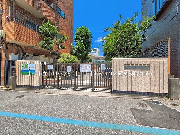 小学校 550m 市川市立市川小学校
