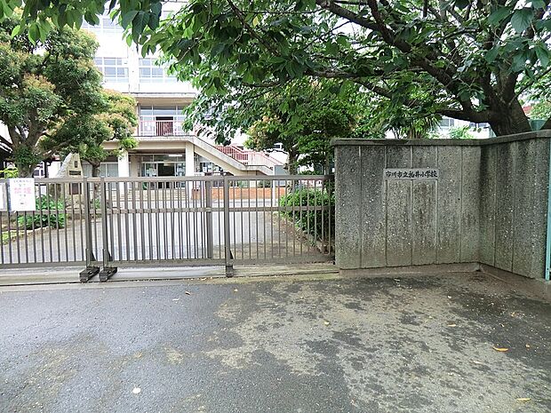 小学校 1100m 市川市立柏井小学校