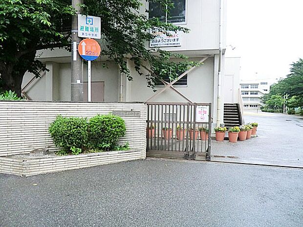 中学校 3000m 市川市立第五中学校