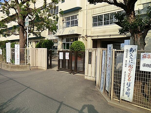 中学校 600m 市川市立第六中学校