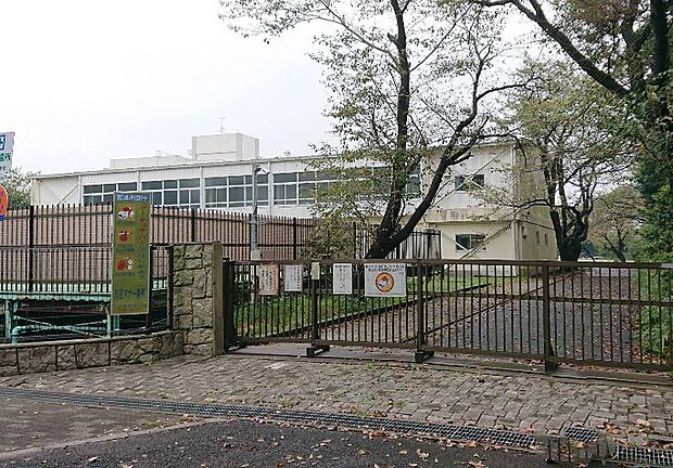 小学校 700m 市川市立大町小学校