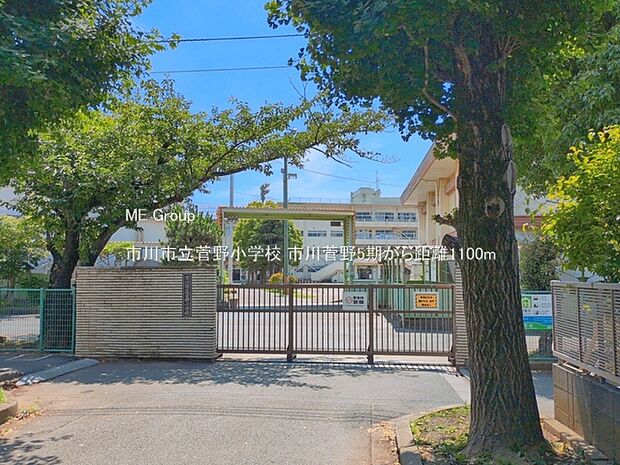 小学校 1100m 市川市立菅野小学校