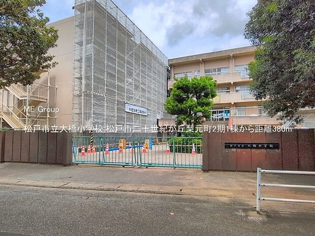 小学校 380m 松戸市立大橋小学校