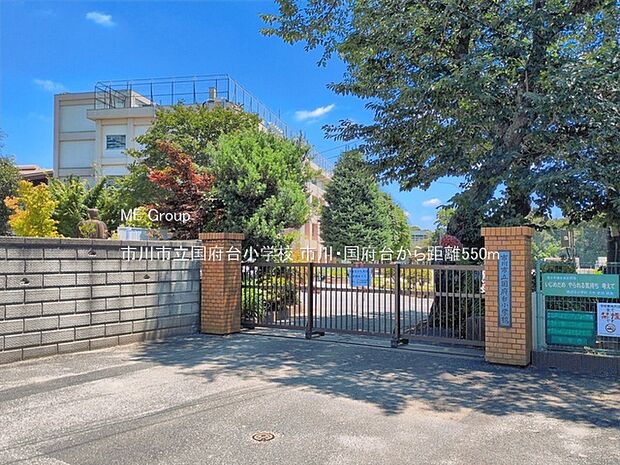 小学校 550m 市川市立国府台小学校