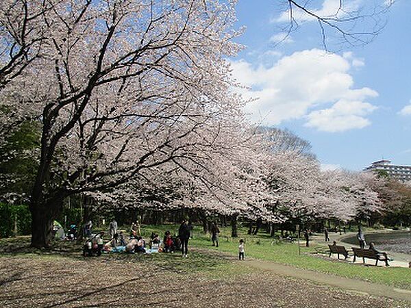 仲町台駅周辺には自然を感じらる大きな自然公園が多数ございます。休日は家族でのんびり散歩したりして過ごしてみてはいかがでしょうか♪