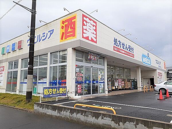 画像15:その他「ウエルシア鹿嶋平井店まで800m」