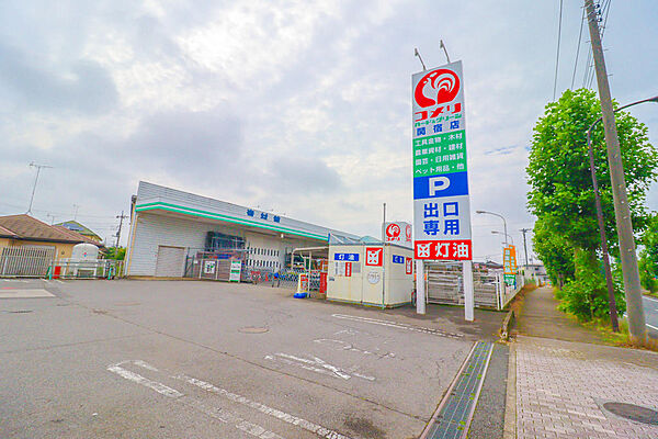 コメリハード＆グリーン関宿店まで徒歩約400ｍ