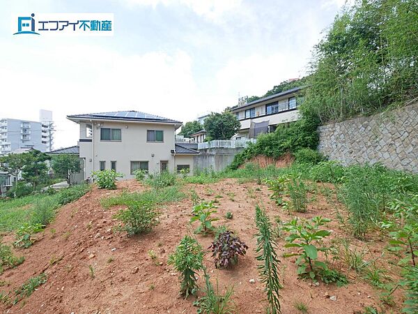 現地（2024年8月）撮影
