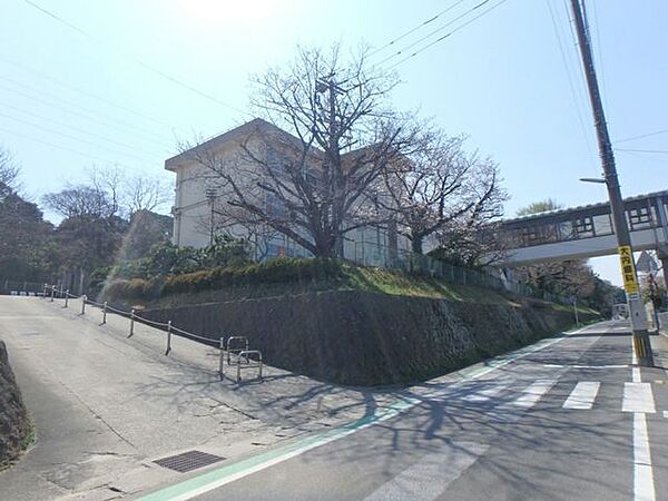 大分市立桃園小学校大分市立桃園小学校児童数　450人(2022年度)教職員数　28名(2022年度) 1000m