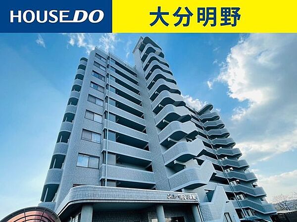 外観：344000015113