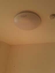 広島電鉄2系統 本川町駅 徒歩4分の賃貸マンション 9階ワンルームのリビング/ダイニング