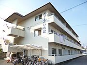 メゾーンいちば 3階 築41年10ヶ月の賃貸物件