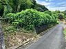 外観：前面道路含む現地写真