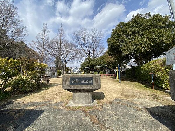 袖紫ヶ森東公園（616m）