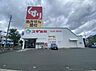 周辺：スギドラッグ 浜松住吉店（1300m）