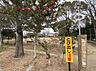 周辺：高丘けやき公園（480m）