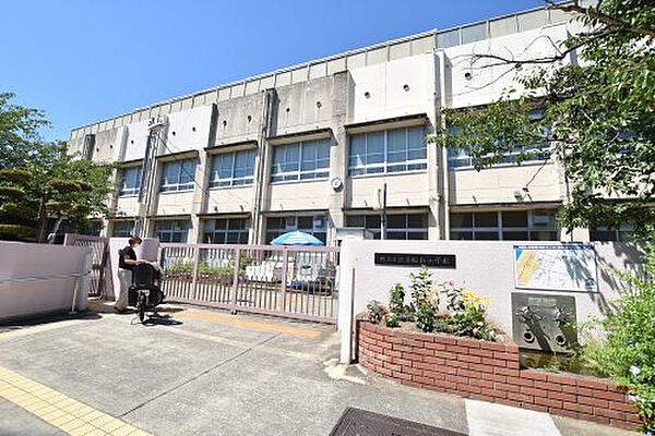 画像24:【小学校】堺市立浜寺昭和小学校まで607ｍ