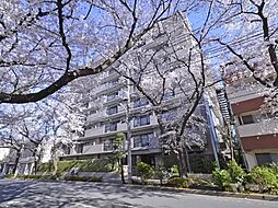東京都東村山市栄町2丁目
