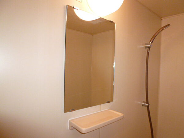 画像22:浴室鏡