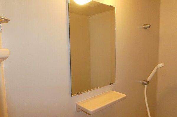 画像26:浴室鏡