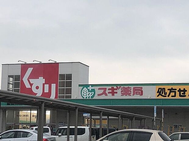 スギ薬局　豊橋南店 2990m
