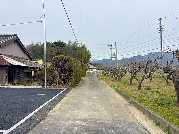 前面道路含む現地写真