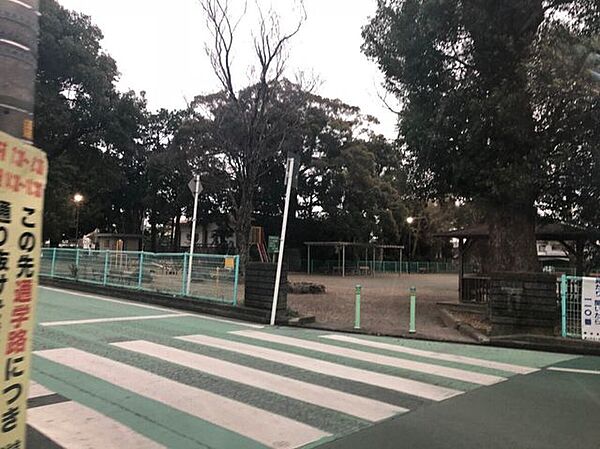 周辺を拡大表示