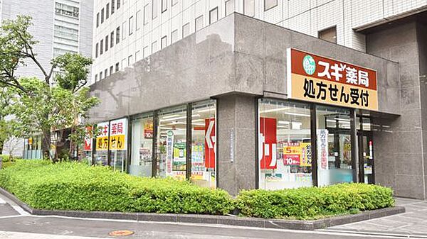 画像29:【ドラッグストア】スギドラッグ 信濃橋店まで657ｍ