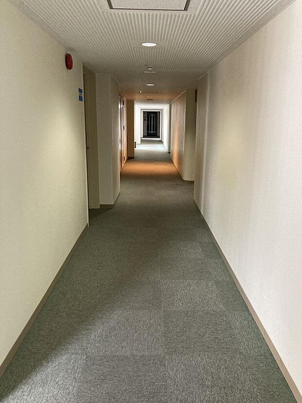 廊下は絨毯敷です♪