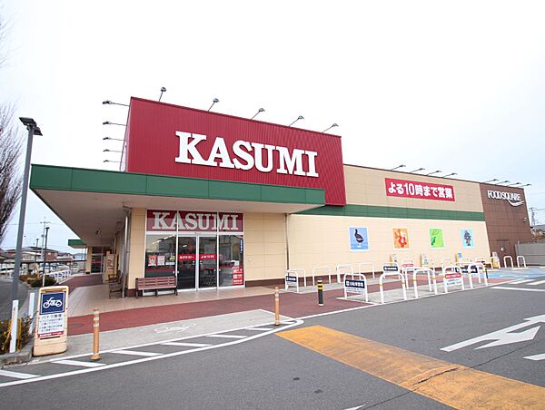 画像3:カスミ フードスクエア新木駅前店(318m)