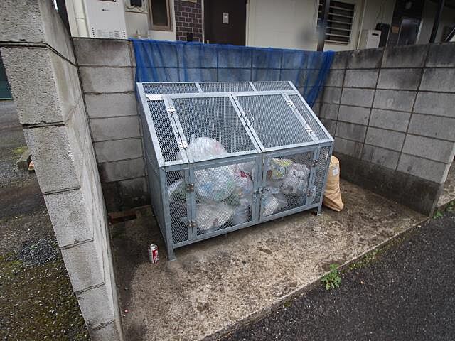 3 / 11