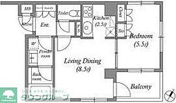プラチナコート広尾 5階1LDKの間取り
