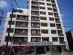 プロスペクト森下