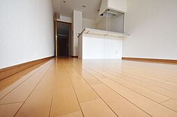 カスタリア銀座III 10階ワンルームのリビング/ダイニング