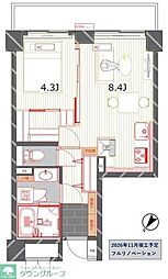 シェルクレール大森 1LDKの間取図画像