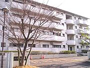 ヴェラハイツ山本 2階 築35年8ヶ月の賃貸物件