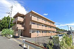 ノーウェジアンウッド石山寺