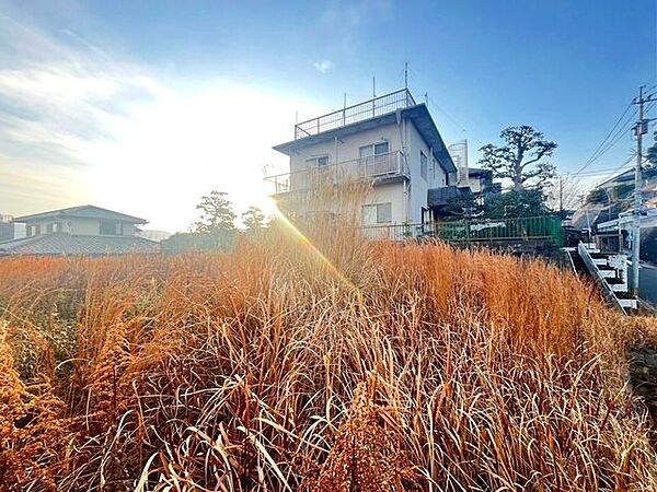 ☆現地【2025年2月】撮影☆