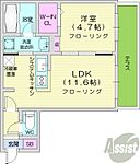 札幌市西区八軒三条西2丁目 4階建 新築のイメージ