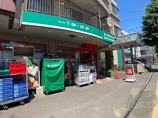 北海道札幌市北区新琴似七条2丁目(賃貸マンション2LDK・6階・65.77㎡)の写真 その30