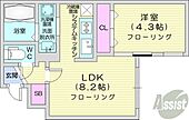 札幌市北区北三十条西4丁目 4階建 新築のイメージ