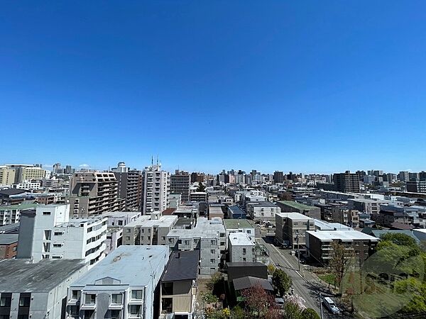 北海道札幌市中央区南六条西18丁目(賃貸マンション1LDK・10階・47.00㎡)の写真 その20