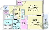 札幌市白石区菊水四条1丁目 4階建 新築のイメージ