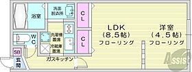 ゼスティ医大前  ｜ 北海道札幌市中央区南四条西16丁目（賃貸マンション1LDK・3階・34.78㎡） その2