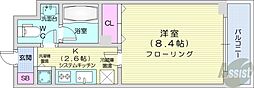 札幌市営東西線 バスセンター前駅 徒歩7分の賃貸マンション 11階1Kの間取り