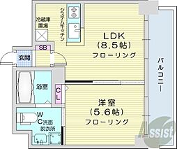 札幌市営東豊線 さっぽろ駅 徒歩5分の賃貸マンション 13階1LDKの間取り
