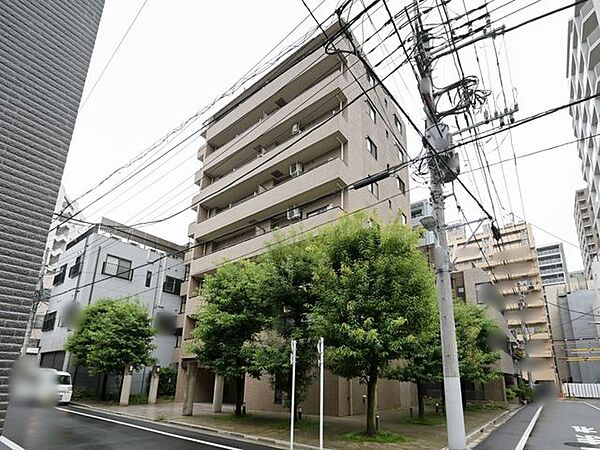 外観：313004918111