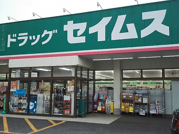 ドラッグセイムス金子店　700ｍ