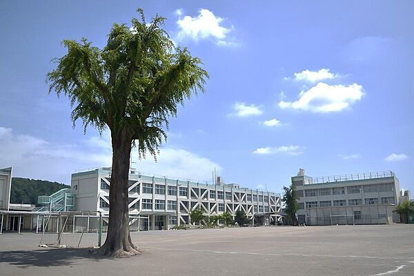 入間市立金子小学校　1100ｍ