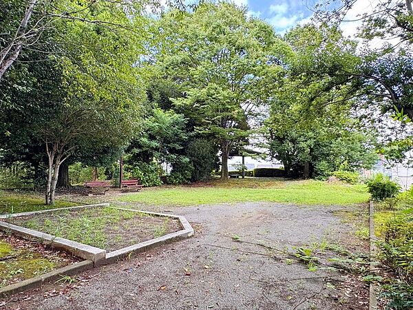 ゆりのき中央公園